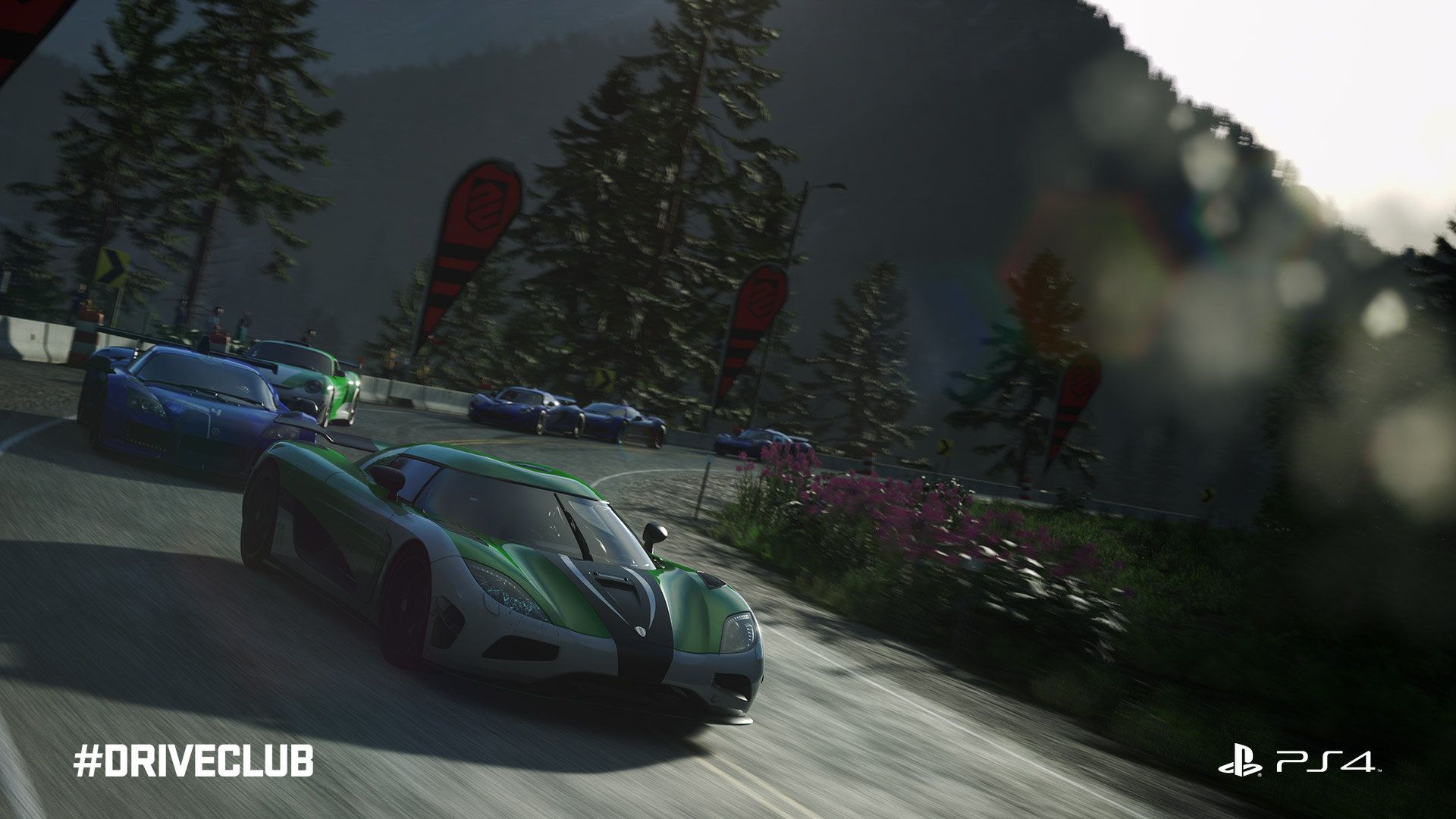 Illustration de l'article sur DriveClub