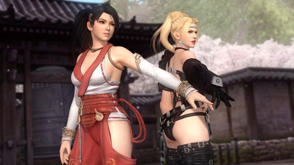 Illustration de l'article sur Dead or Alive 5 : Last Round