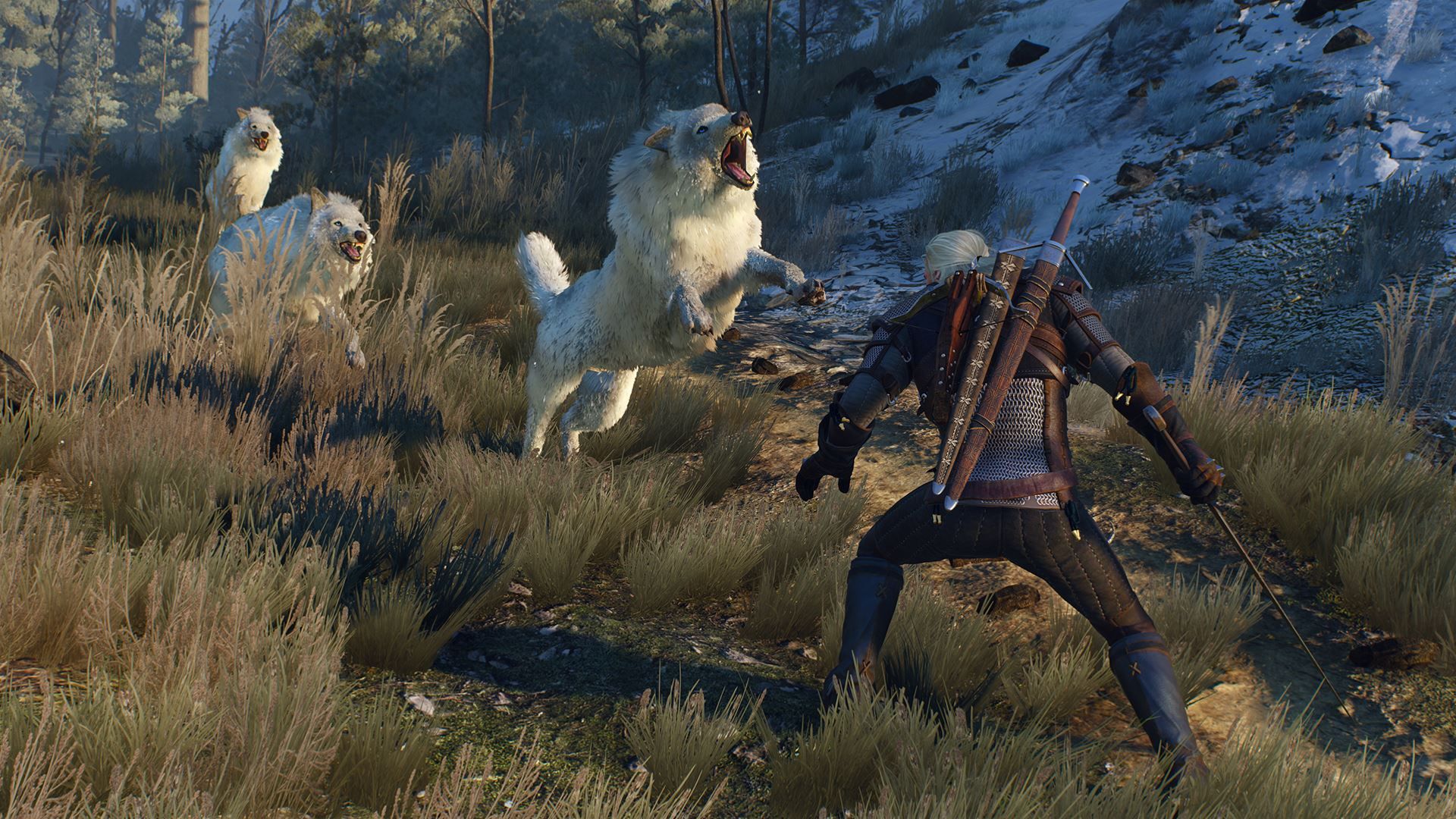 Illustration de l'article sur The Witcher 3 : Wild Hunt