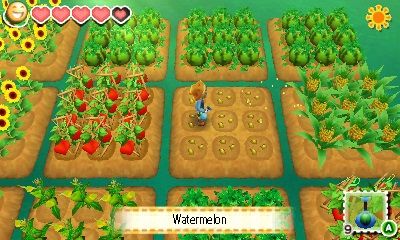 Illustration de l'article sur Story of Seasons