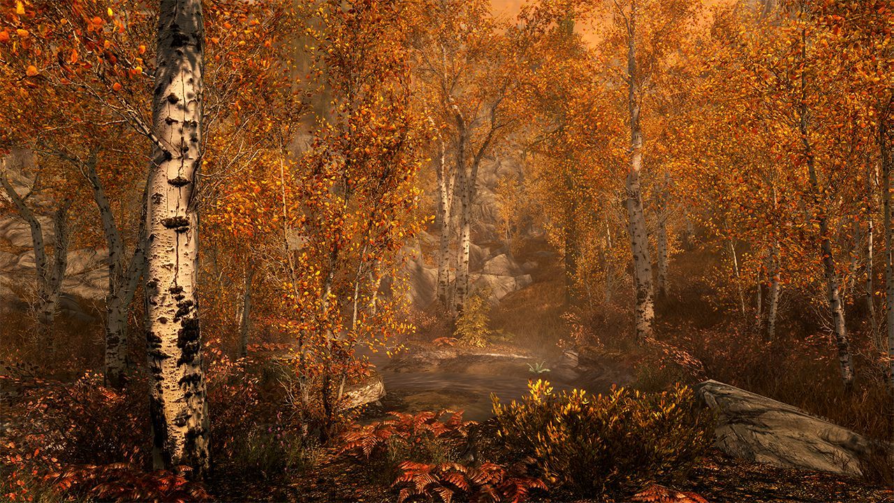 Illustration de l'article sur The Elder Scrolls V Skyrim - Swtich