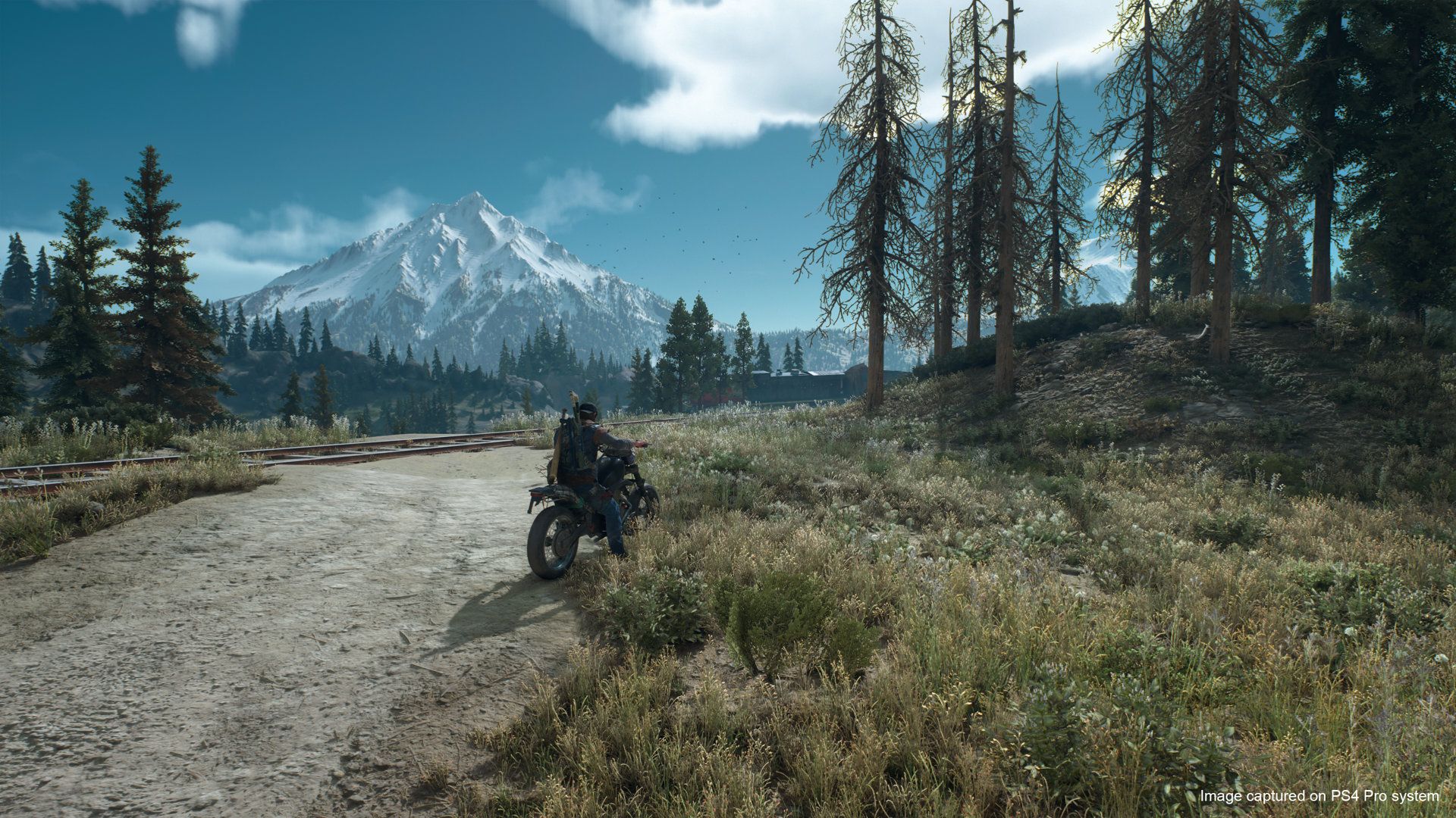 Illustration de l'article sur Days Gone