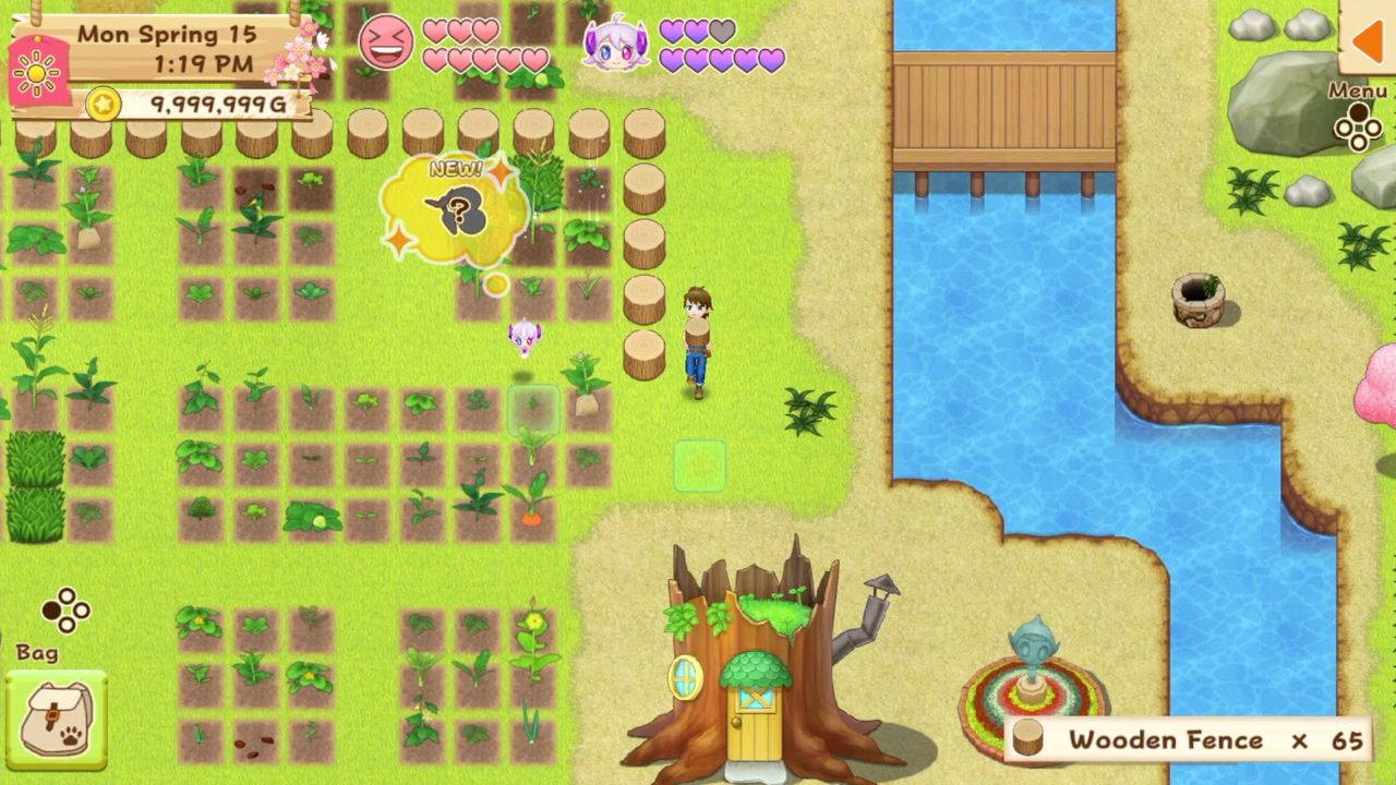 Illustration de l'article sur Harvest Moon : Lumièred’Espoir - Edition Spéciale