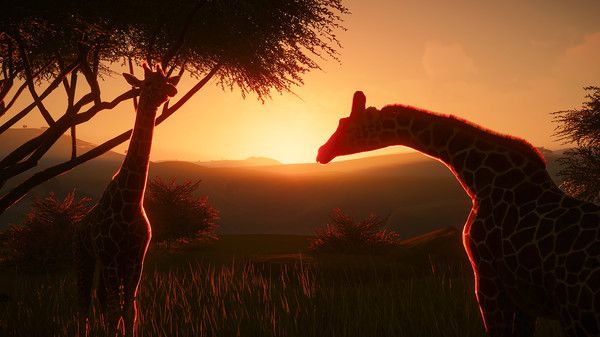 Illustration de l'article sur Planet Zoo