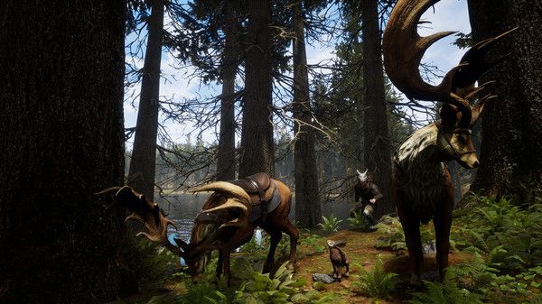 Illustration de l'article sur Citadel: Forged With Fire