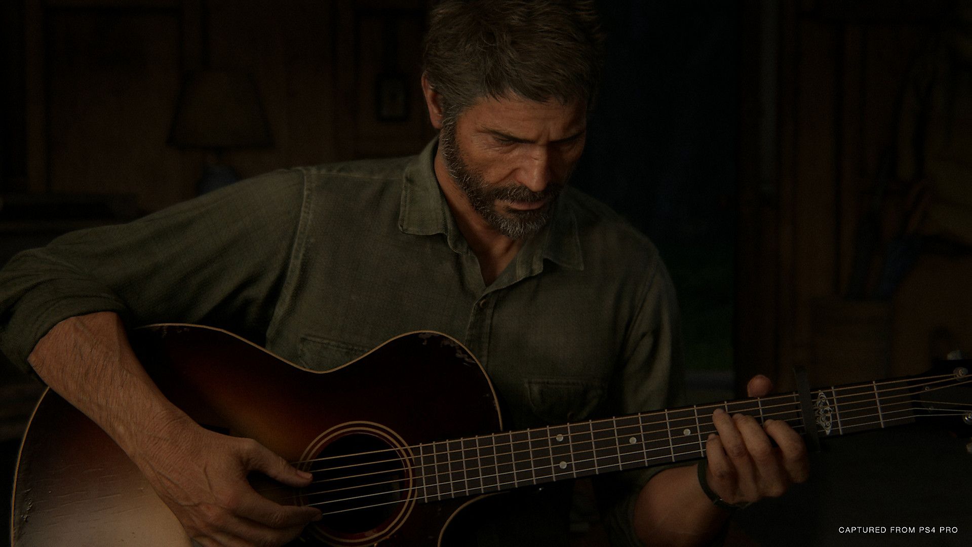 Illustration de l'article sur The Last of Us Part II