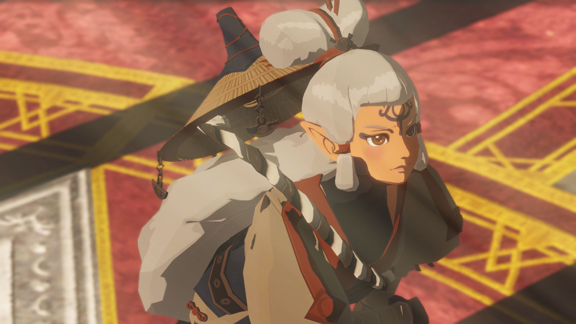 Illustration de l'article sur Hyrule Warriors L'Ère du Fléau