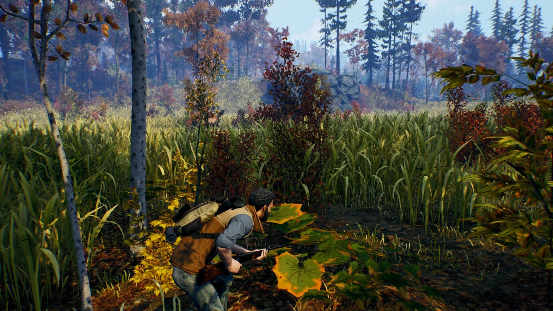 Illustration de l'article sur Open Country d�barquesur PC, PS4 et Xbox One