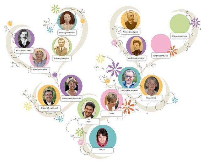 Illustration de l'article sur G�n�alogie: explorez vos originesavec G�n�atique 2022 sur PC