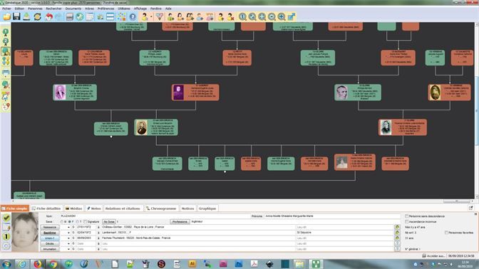 Illustration de l'article sur G�n�alogie: explorez vos originesavec G�n�atique 2022 sur PC