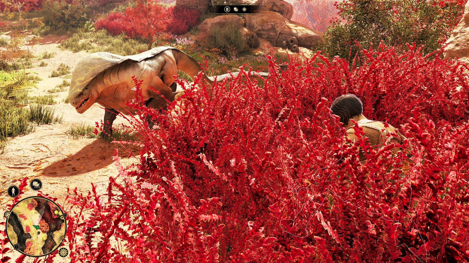 Illustration de l'article sur TEST : GreedFall 2:The Dying World