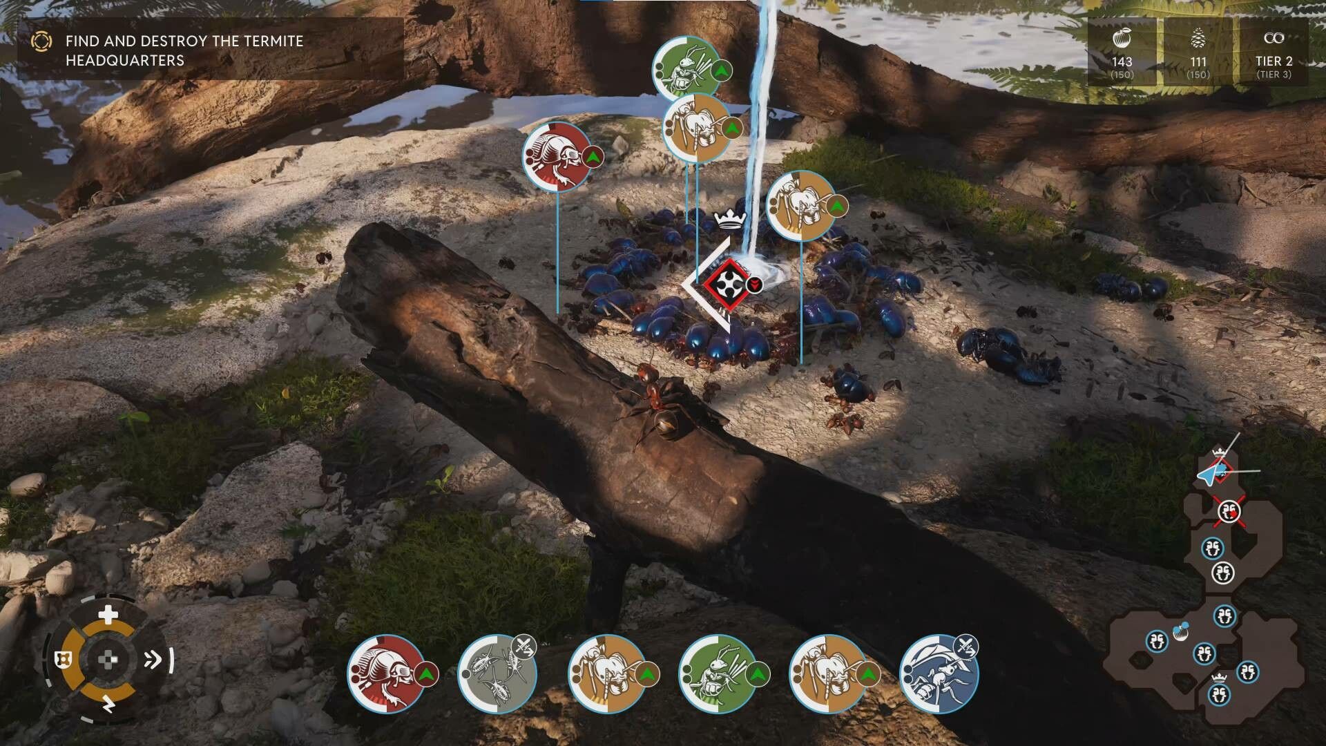 Illustration de l'article sur TEST : Les Fourmis