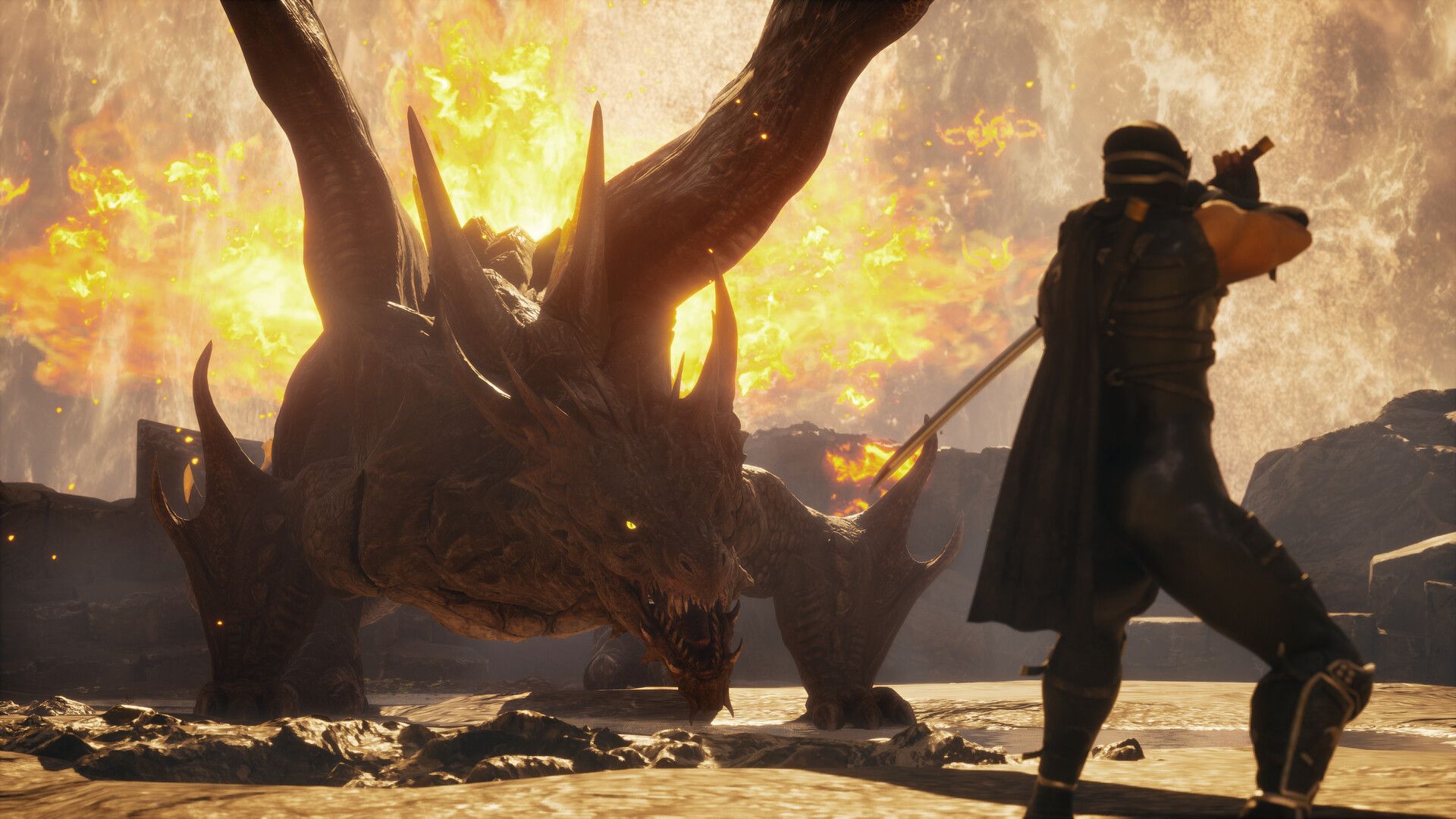 Illustration de l'article sur TEST : Ninja Gaiden 2 Black