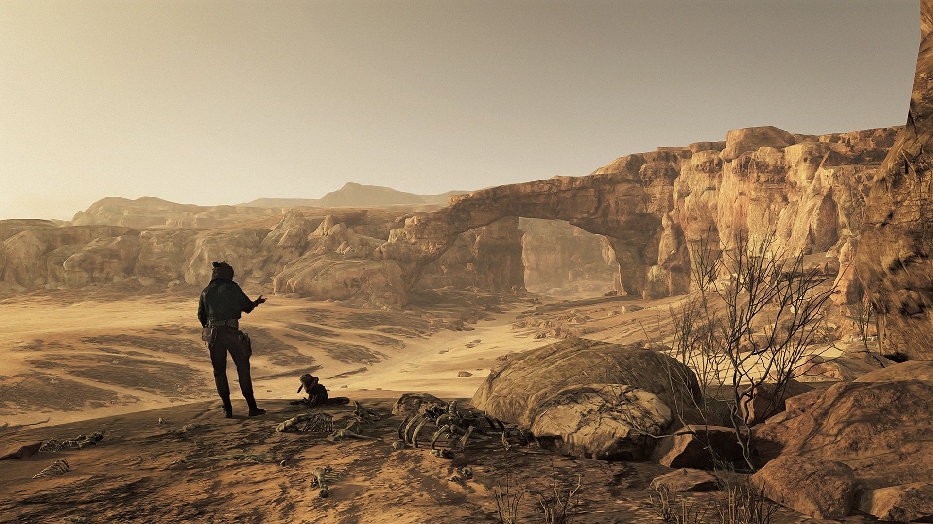 Illustration de l'article sur TEST : Star Wars OutlawsNintendo Switch 2