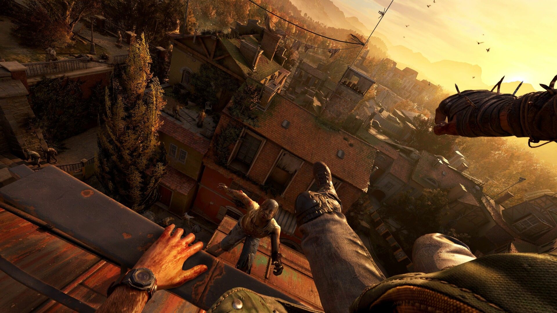 Illustration de l'article sur TEST : Dying Light: The Beast