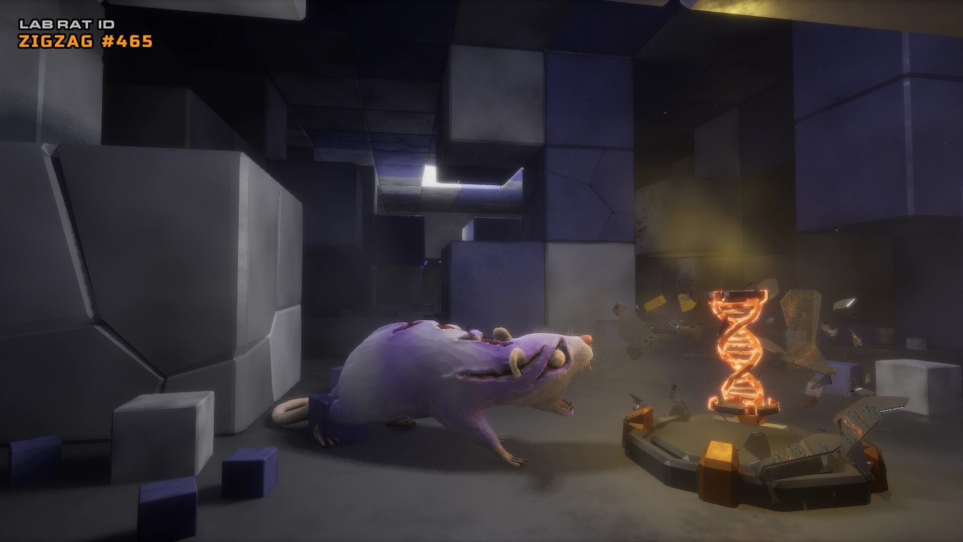 Illustration de l'article sur TEST :  Cyber Rats 