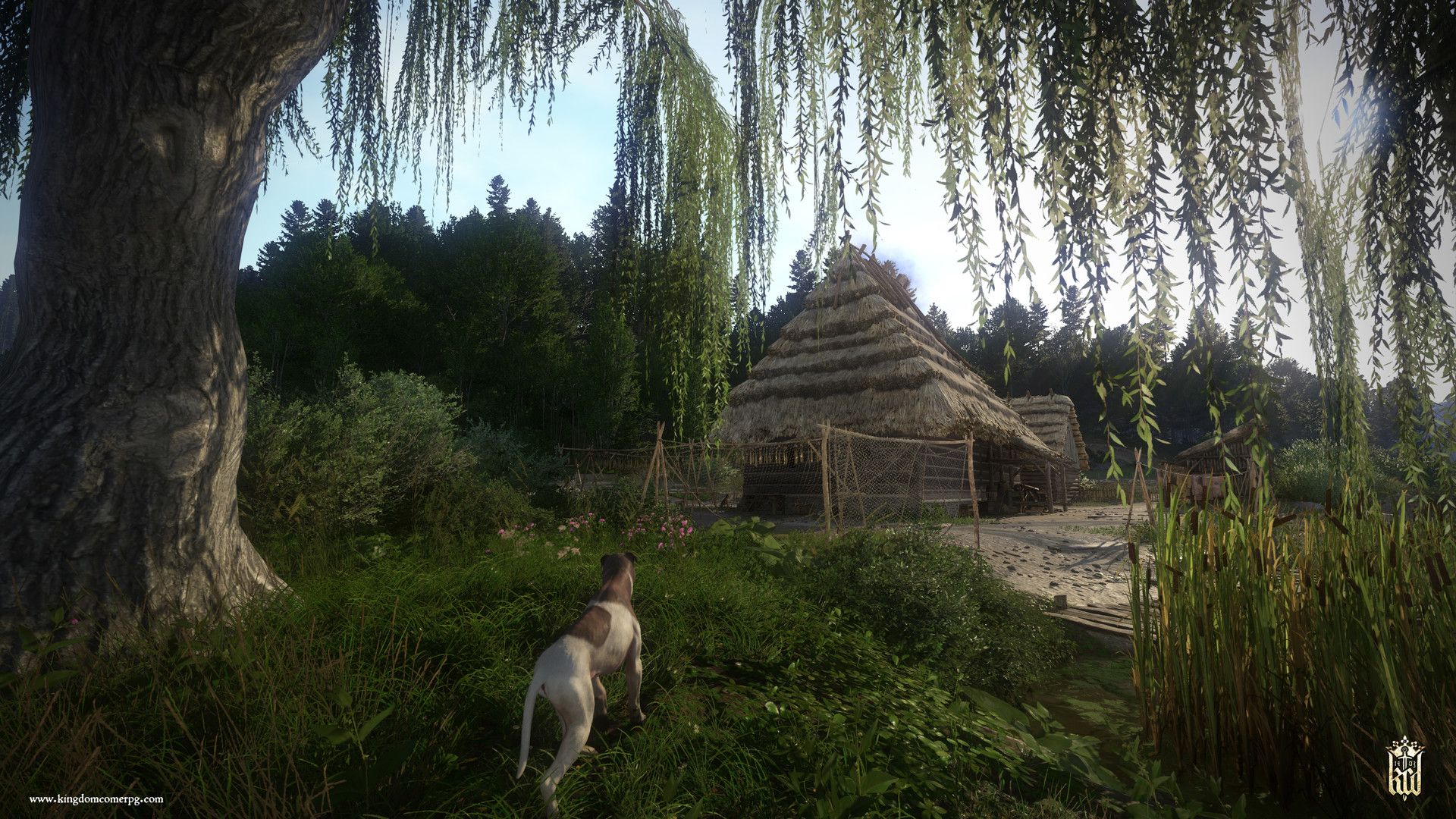 Illustration de l'article sur TEST : Kingdom Come : Deliverance - Next-Gen 2026