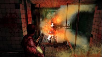 Illustration de l'article sur Afterfall Insanity