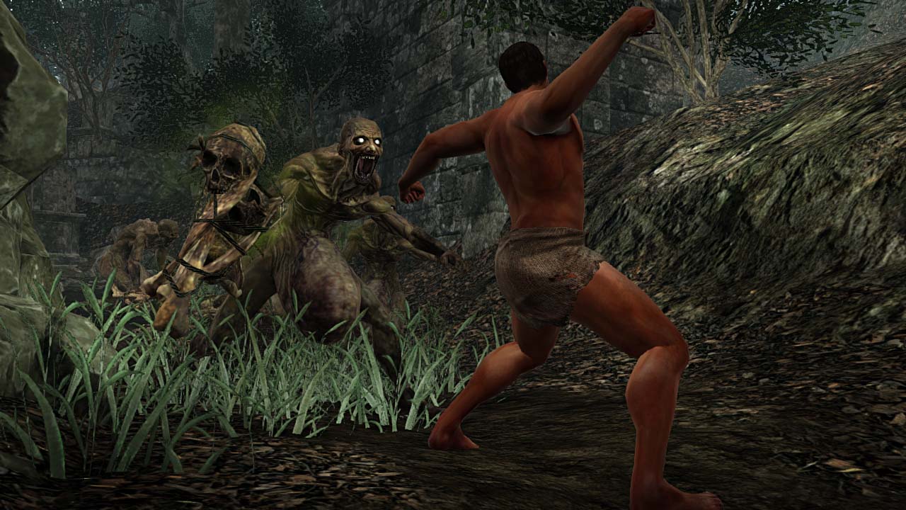 Illustration de l'article sur Les éditions Collector et Black Armour de Dark Souls II