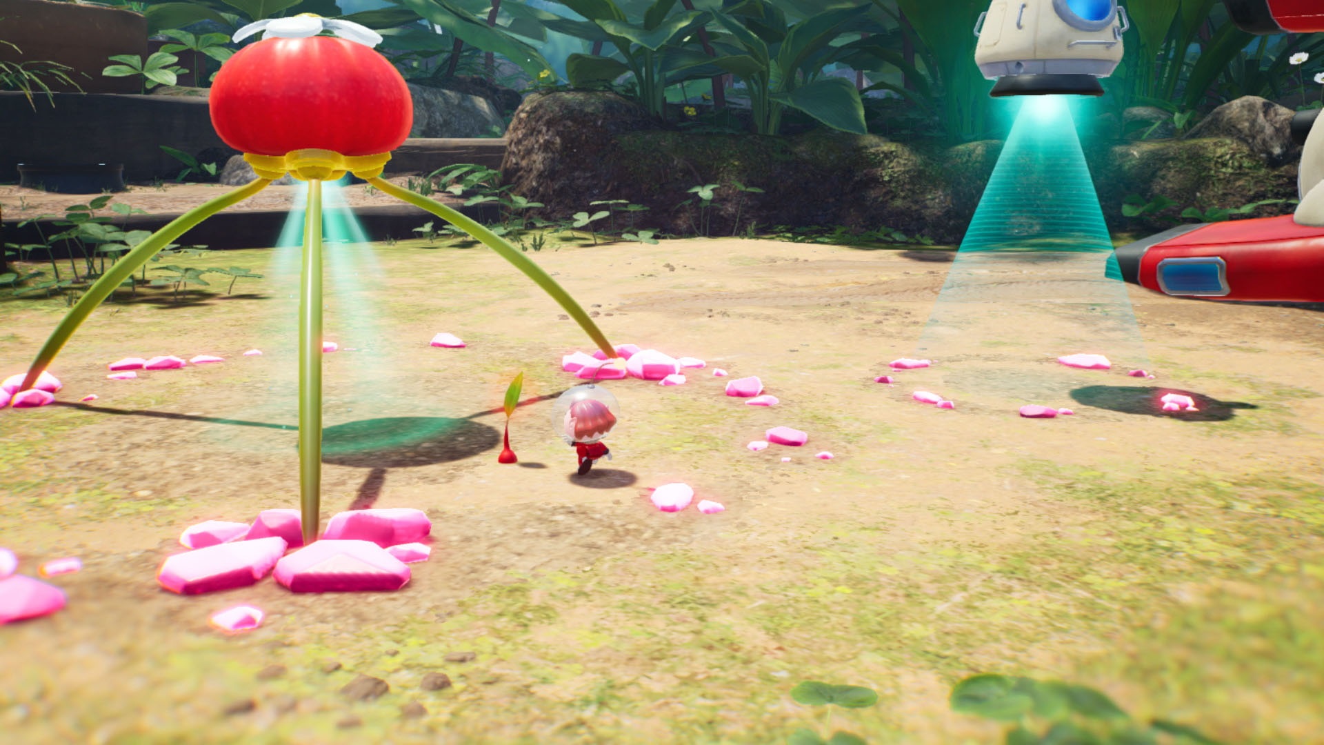 Illustration de l'article sur TEST : Pikmin 4