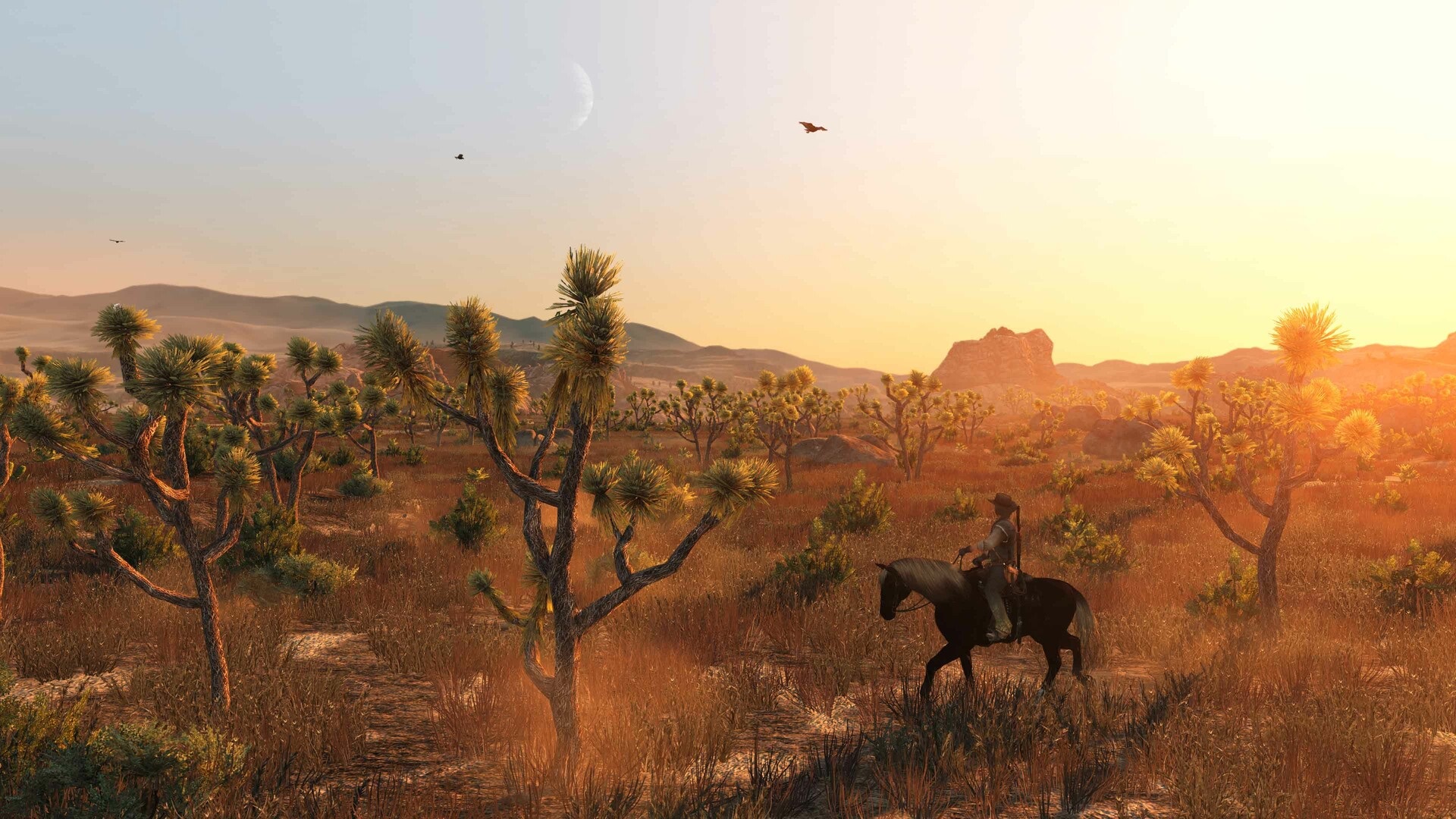 Illustration de l'article sur TEST : Red Dead RedemptionPC Steam